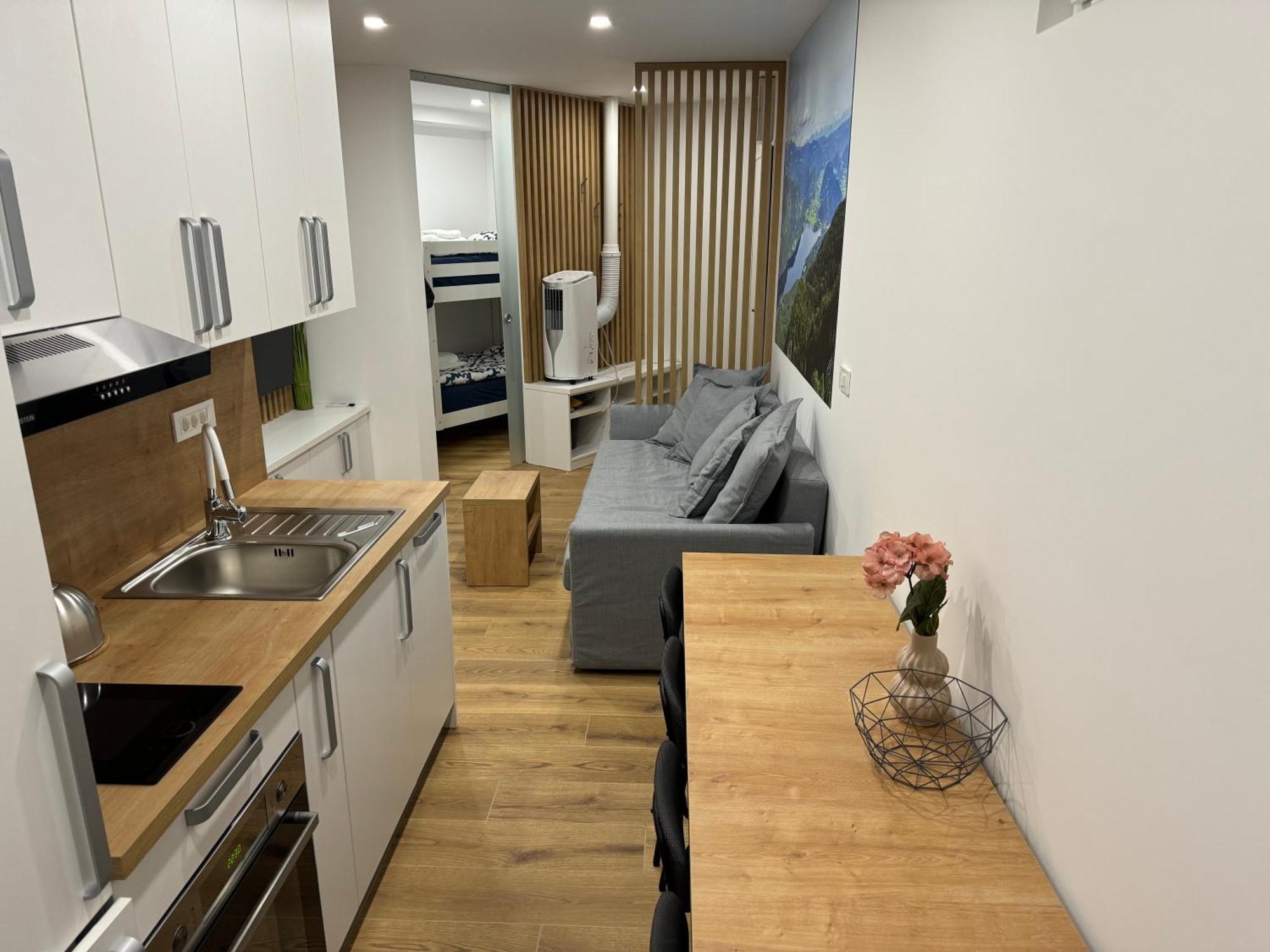 Apartma Tisa Bohinj-No Ouside Windows Εξωτερικό φωτογραφία