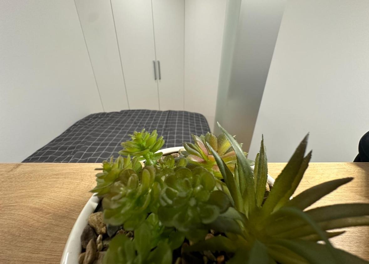 Apartma Tisa Bohinj-No Ouside Windows Εξωτερικό φωτογραφία