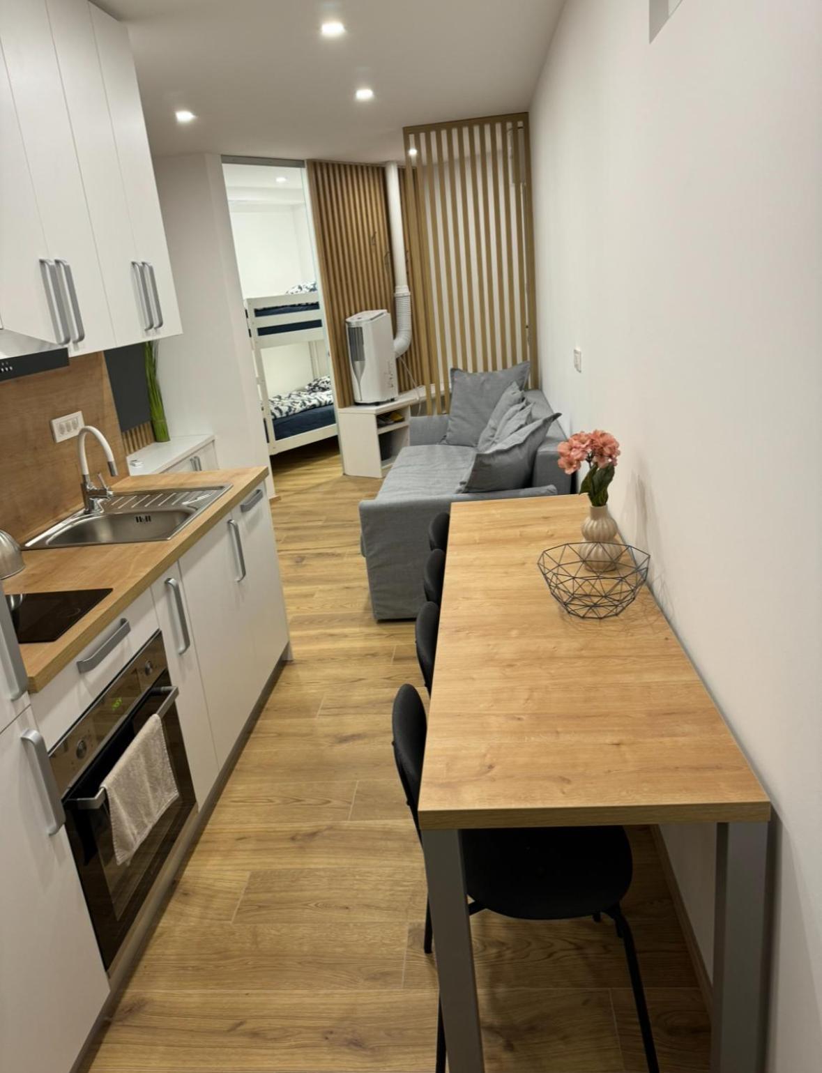 Apartma Tisa Bohinj-No Ouside Windows Εξωτερικό φωτογραφία